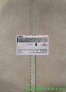 Mexico ID photolook BACK